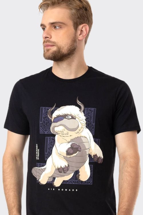 Camiseta Avatar Appa
