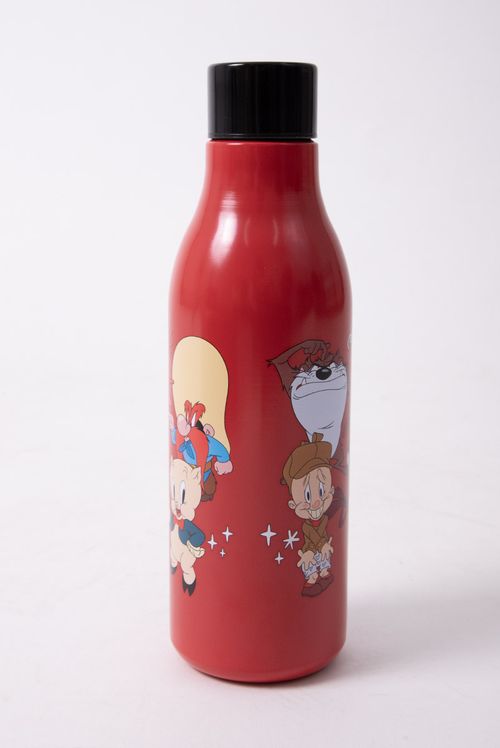 Garrafa Cantil Térmica Looney Tunes Stay Weird