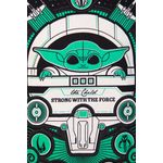 SW-POSTER-5.jpg