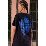 CORVINAL_1