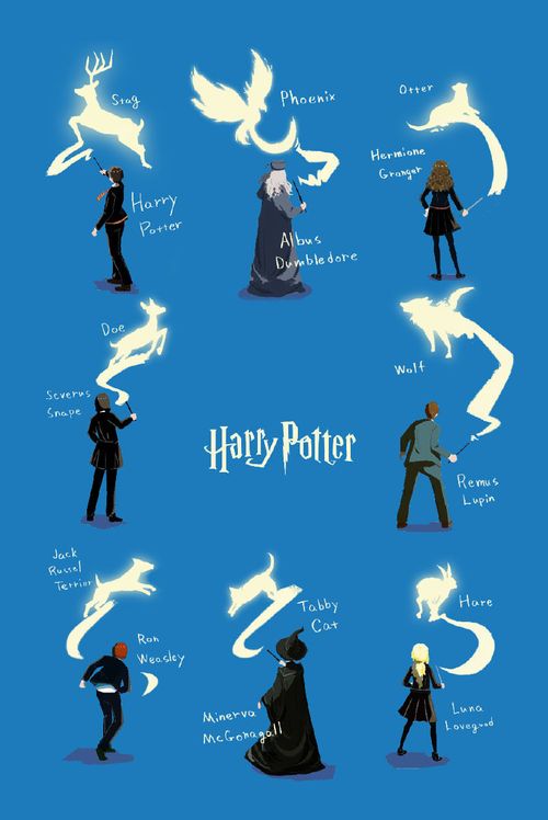 Camiseta Harry Potter Patronos