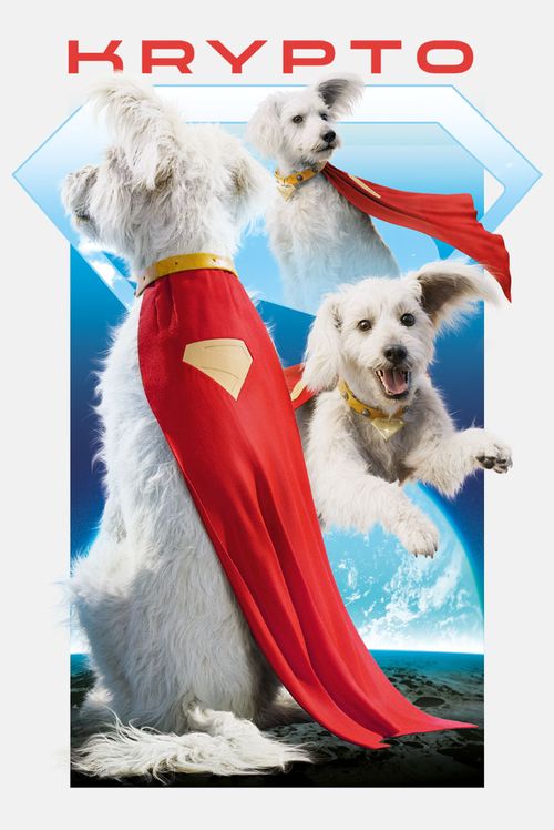 Camiseta DC Comics Superman Krypto
