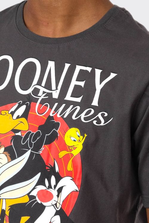 Camiseta Looney Tunes Squad