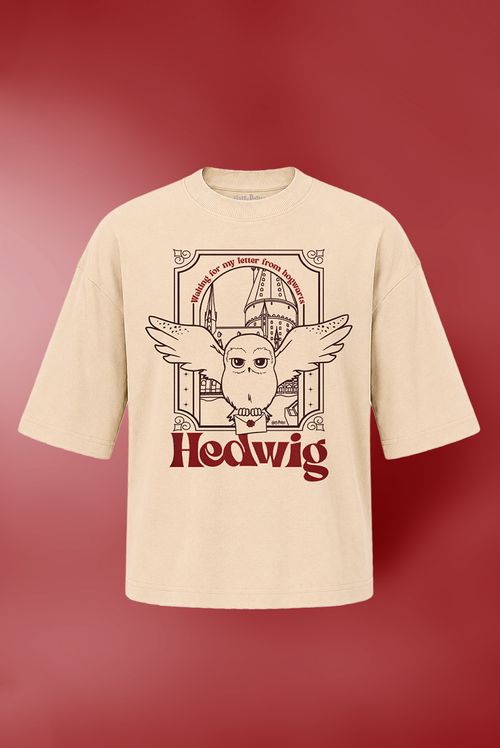 Camiseta Box Harry Potter Cartas de Hogwarts