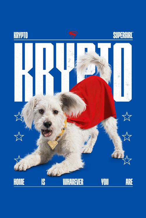 Camiseta Infantil DC Comics Supergirl Krypto
