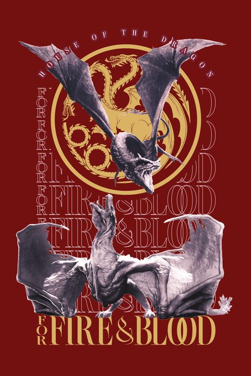 Camiseta House Of The Dragon Fire & Blood