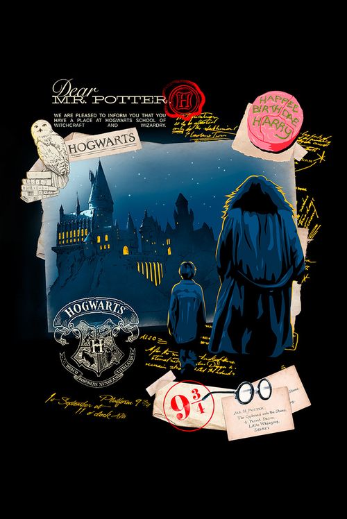 Moletom Harry Potter Chegada em Hogwarts