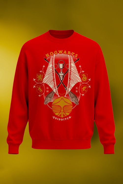 Moletom Harry Potter Quadribol