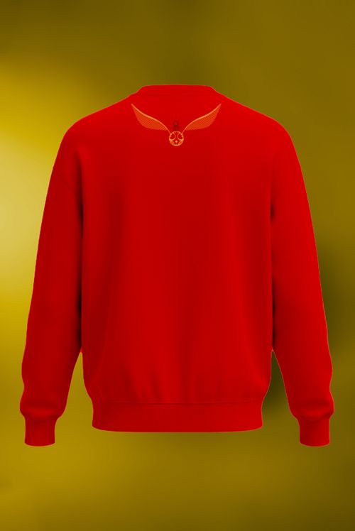 Moletom Harry Potter Quadribol