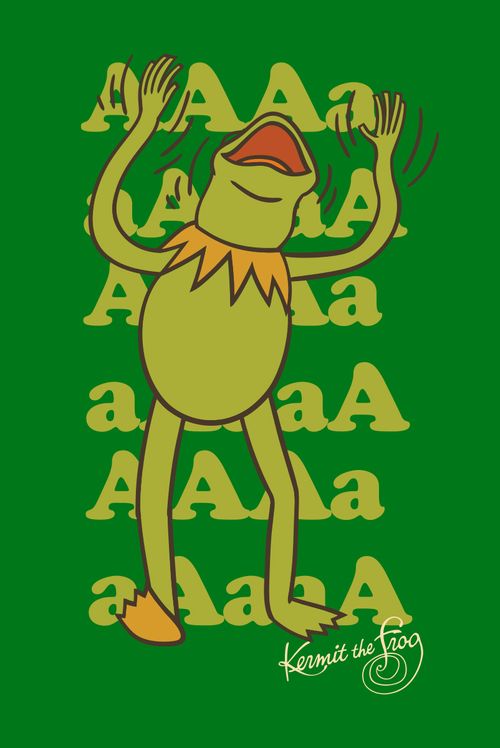 Camiseta Infantil  Disney Muppets Kermit AAAAA