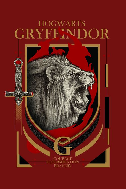 Camiseta Harry Potter Grifinória Leão