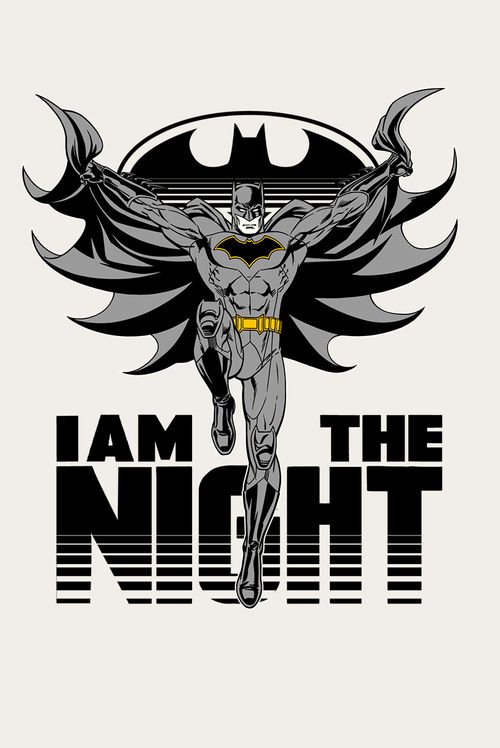 Camiseta DC Comics Batman I am The Night